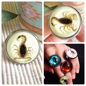 2/$30🌵 Real Resin Scorpion Adjustable Ring Insects Bugs Southwestern Size 8